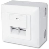Компьютерная розетка Digitus 2xRJ45 STP, cat. 6, для наружной проводки Фото