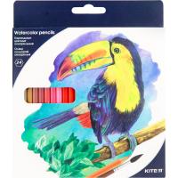 Карандаши цветные Kite Птицы акварельные 24 цветов Фото