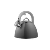 Чайник Ardesto Gemini 2.5 л Grey Фото