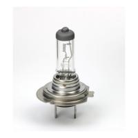 Автолампа SHAFER H724V70WPX26D Фото