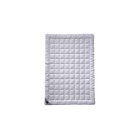Ковдра Billerbeck 543 Sari Superlight 155x220 см Фото