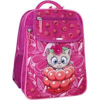 Рюкзак школьный Bagland Отличник 20 л. 143 малина 899 (0058070) Фото