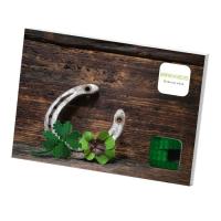 Конструктор BRIXIES Четырехлистник Фото