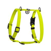 Шлей для собак WAUDOG Magnet анатомическая Н-образная с QR-паспортом, ма Фото