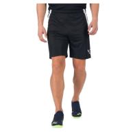 Шорти Puma teamLIGA Shorts 704924-03 чорний M Фото