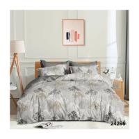 Постельное белье Viluta 24265 Ранфорс полуторный Фото