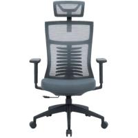 Офісне крісло OfficePro Balance OC550-B-DG-DG Фото