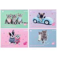Альбом для малювання Kite Studio Pets, 12 аркушів Фото