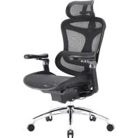 Офісне крісло Sihoo DORO C300 Pro Mesh Black Фото