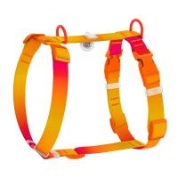 Шлей для собак WAUDOG Nylon Recycled анатомическая H-образная с QR-паспо Фото