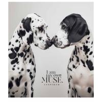 Зошит Школярик 60 аркушів клітинка Фото