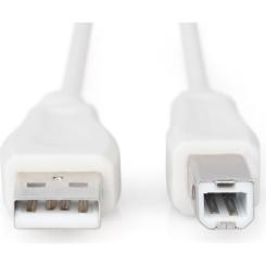 Кабель для принтера Digitus USB 2.0 AM/BM 1.8m Фото