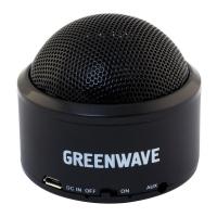 Акустическая система Greenwave PS-300M black Фото