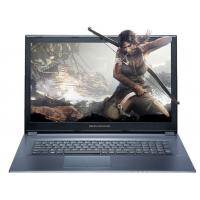 Ноутбук Dream Machines Clevo G1050-17 Фото