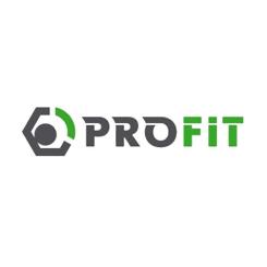 Воздушный фильтр для автомобиля Profit 1512-4129 Фото