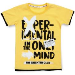 Футболка детская Breeze "TALENTED CLUB" Фото