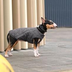 Жилет для животных Pet Fashion "E.Vest" S серый Фото 2