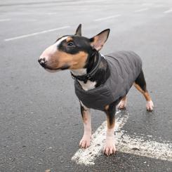 Жилет для животных Pet Fashion "E.Vest" S серый Фото 3