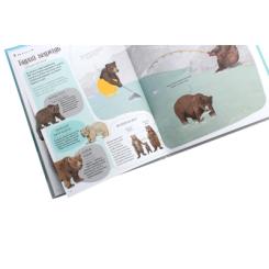 Книга Жорж Ведмежа книга - Кейті Віґґерс Фото 5