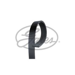 Поликлиновый ремень Gates 6PK1019SF Фото