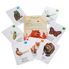 Настольная игра Arial Медведь идёт! Фото 2