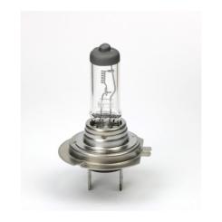 Автолампа SHAFER H724V70WPX26D Фото