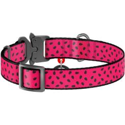 Ошейник для животных WAUDOG Nylon "Кавун" металічна пряжка-фастекс М Фото 1