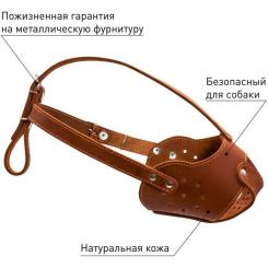 Намордник для собак Collar (стаф) коричневий Фото 2