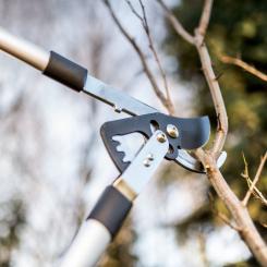 Секатор Cellfast IDEAL, d різу 45мм Фото 1