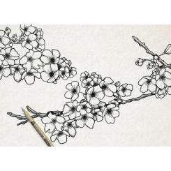 Лайнер Sakura Набор Pigma Micron DESIGN, 3 шт Фото 3