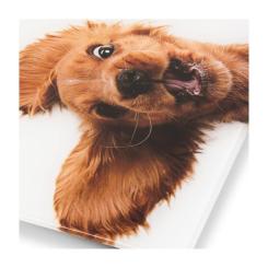 Весы напольные Zelmer ZBS1010 Фото 3