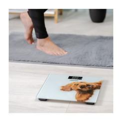 Весы напольные Zelmer ZBS1010 Фото 4