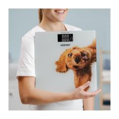 Весы напольные Zelmer ZBS1010 Фото 5