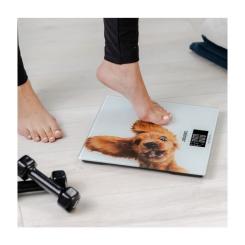 Весы напольные Zelmer ZBS1010 Фото 6