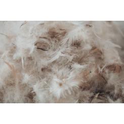 Подушка MirSon пуховая Extra 107 средняя 40x60 см Фото 7