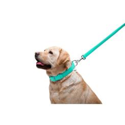 Поводок для собак WAUDOG Glamour шкіряний M-XXL ментоловий Фото 4