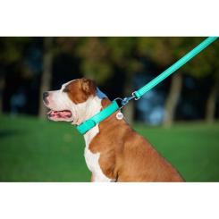 Поводок для собак WAUDOG Glamour шкіряний M-XXL ментоловий Фото 6