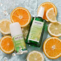 Дезодорант Weleda Citrus 24h Deo Roll-On 50 мл Фото 3