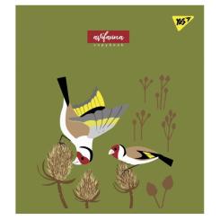 Тетрадь Yes А5 Avifauna 12 аркушів лінія Фото 1