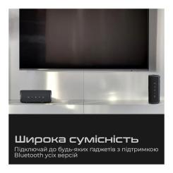 Акустическая система HiFuture Ripple Black Фото 2