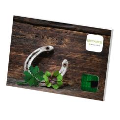 Конструктор BRIXIES Четырехлистник Фото