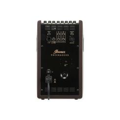 Комбоусилитель Ibanez Troubadour T80II Фото 2