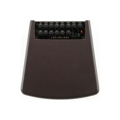 Комбоусилитель Ibanez Troubadour T80II Фото 3