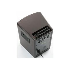 Комбоусилитель Ibanez Troubadour T80II Фото 5