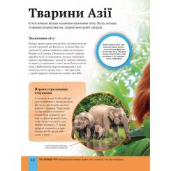 Книга Vivat Дитяча енциклопедія довкілля Фото 11