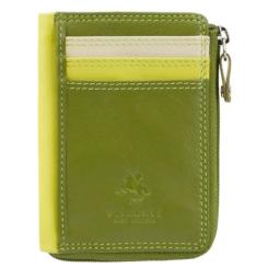 Кардхолдер Visconti RB110 Phi Phi Lime Multi Фото