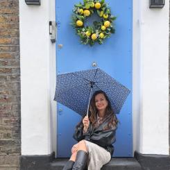 Зонт Fulton L905 Eco Planet Beehive Фото 4