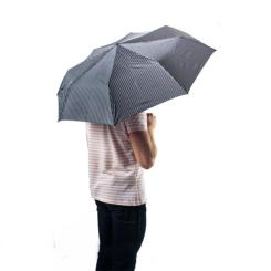 Зонт Fulton Chelsea-2 G818 Grey Фото 9