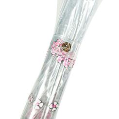 Зонт Fulton L042 Birdcage-2 Sketchy Springs Фото 10