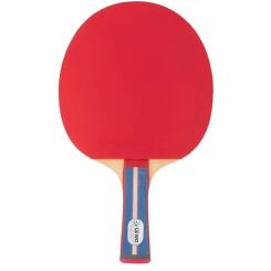 Ракетка для настольного тенниса Gewo Standard Pro FL (600300001) Фото